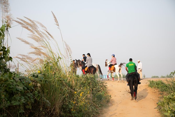 Jaipur Horse Riding Adventure - A 6:30 am start through fields and village paths