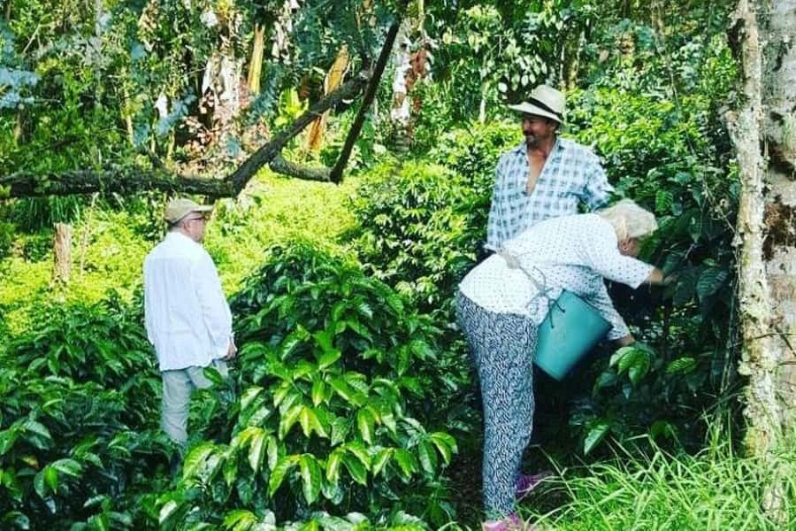 Jardín: Horseback Ride with Coffee Villa and Waterfall - What the $298 price covers