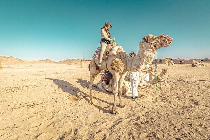 Jeep Cruise Stargazing with Horse Riding & BBQ Dinner - Hurghada - The Bedouin village stop brings the evening into focus