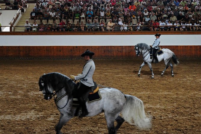 Jerez and Cadiz with Horse Ballet and Sherry Tasting from Seville - The Real Escuela horse ballet in Jerez