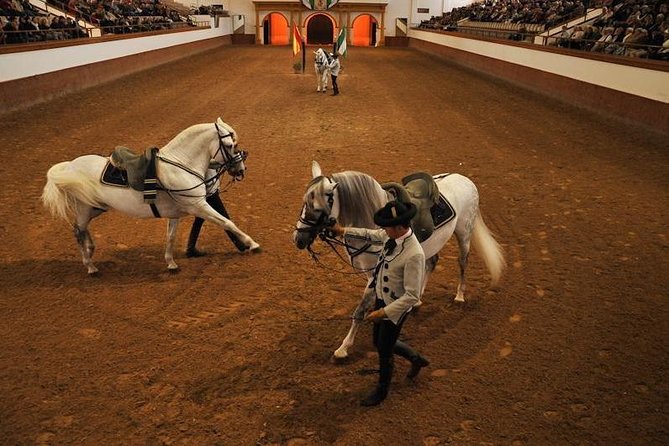 Jerez & Cadiz Winery with Tasting & Opt Horse Show from Seville - Cádiz in two hours: choose your priorities