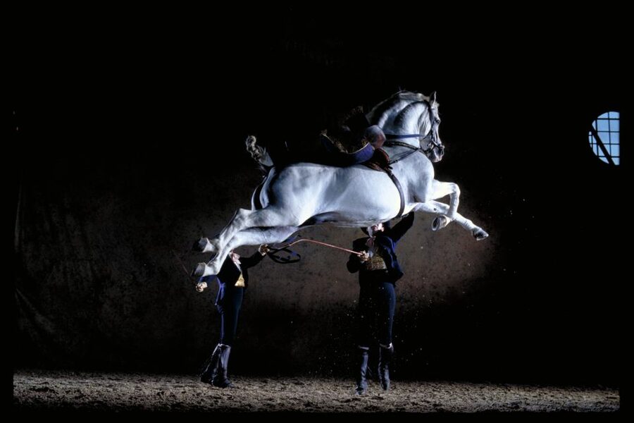 Jerez de la Frontera: Andalusian Horse Dance and Museums - Why the Jerez Horse Ballet Is Worth Your Morning