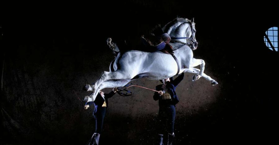 Jerez de la Frontera: Andalusian Horse Dance and Museums - The Art Equestrian Museum in 11 Rooms