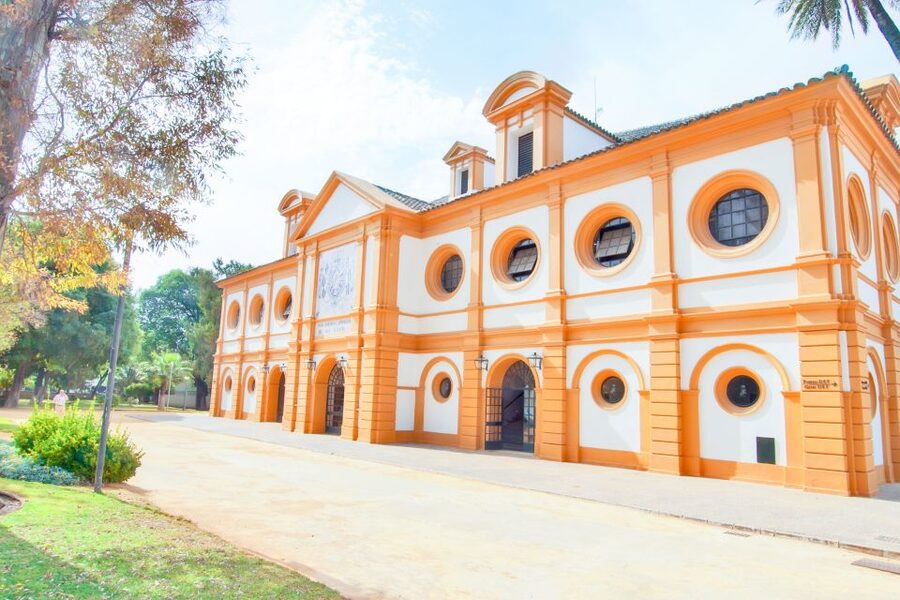 Jerez de la Frontera: How the Andalusian Horses Dance - Key points to know before booking