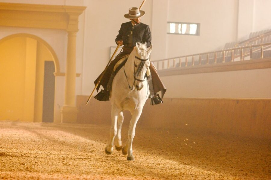 Jerez de la Frontera: How the Andalusian Horses Dance - Music, costumes, and presentation
