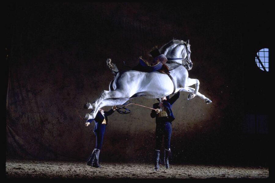 Jerez de la Frontera: How the Andalusian Horses Dance - Is $31 a fair price?