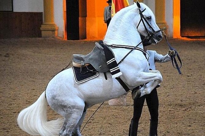 Jerez Historic Guided Tour with Horse Show - San Miguel Church and its high Gothic tower
