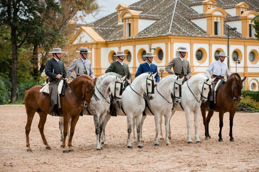 Jerez: Royal Andalusian School of Equestrian Art Admission - Why the Royal Andalusian School is worth your time