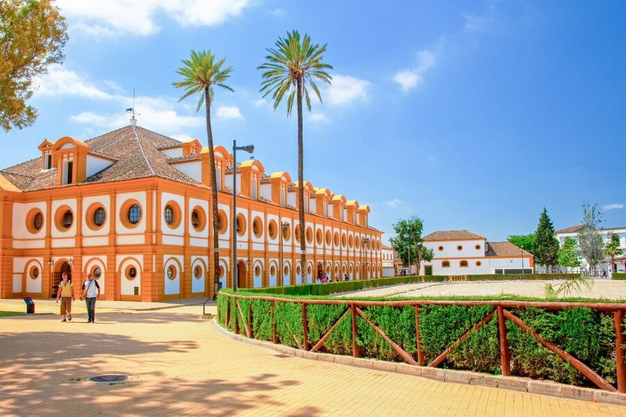 Jerez: Royal Andalusian School of Equestrian Art Admission - Timing, language, and the ticket details that matter