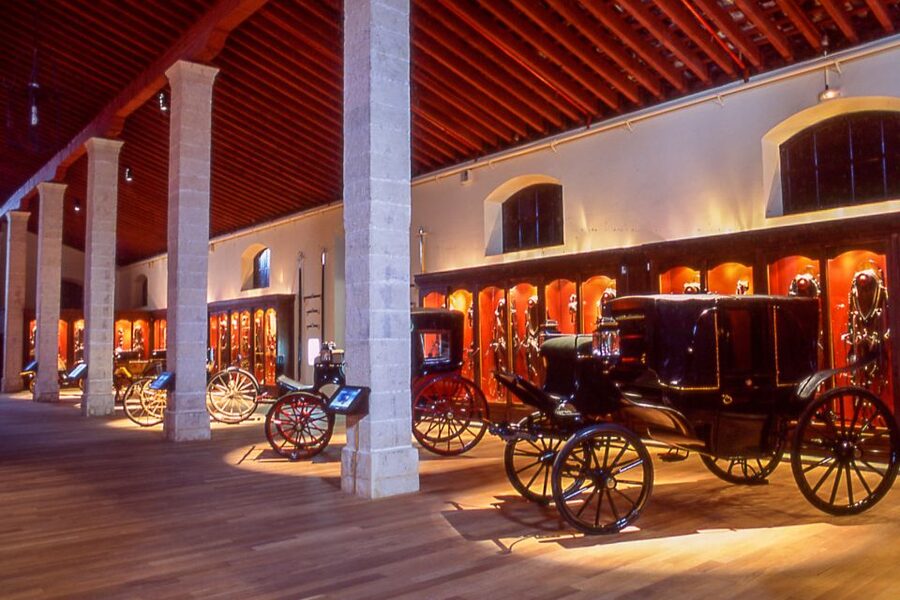 Jerez: Royal Andalusian School of Equestrian Art Admission - Who will enjoy this visit most