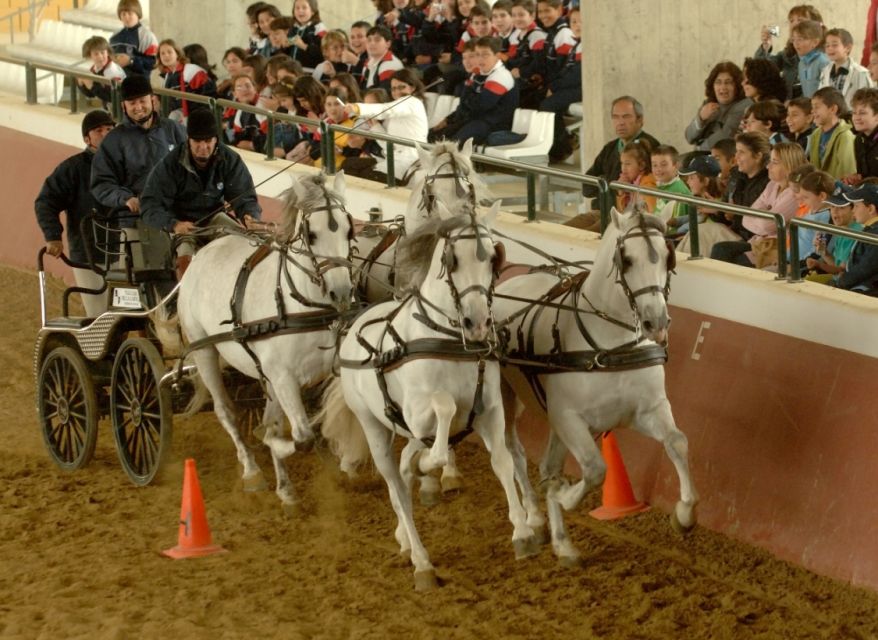 Jerez: Yeguada de la Cartuja Carthusian Horses Tour - Is $22 good value?
