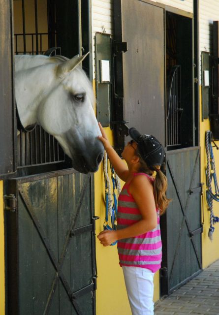 Jerez: Yeguada de la Cartuja Carthusian Horses Tour - Language, access, and group comfort