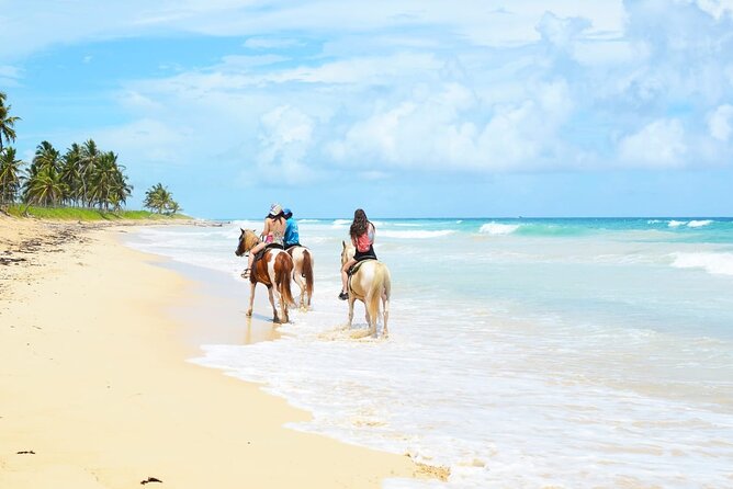 Jungle and Beach Horse Ridding round trip transportatin. - Key points to know before booking