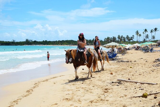 Jungle and Beach Horse Ridding round trip transportatin. - Macao Beach is the reason to consider this ride