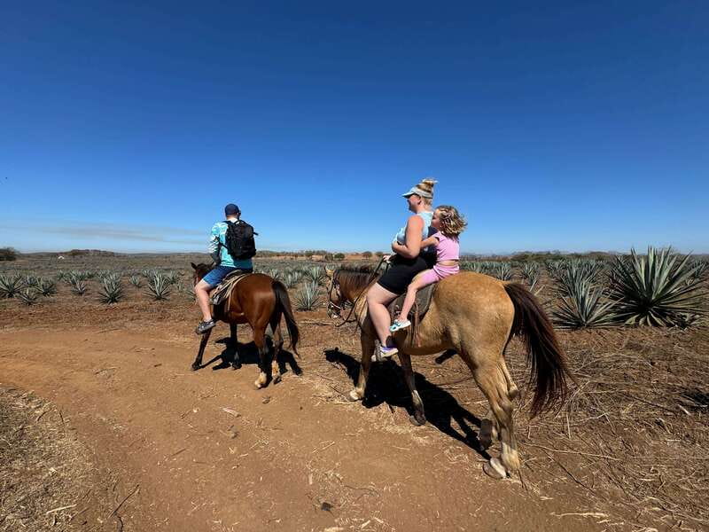 Jungle and beach horseback ride + lunch + mezcal - Key points at a glance