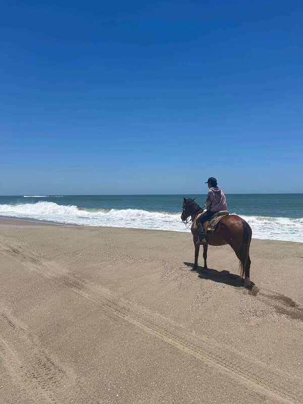 Jungle and beach horseback ride + lunch + mezcal - Who will enjoy this Mazatlán outing