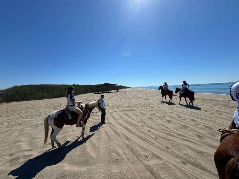 Jungle and beach horseback ride + lunch + mezcal - Meeting the horses and setting out