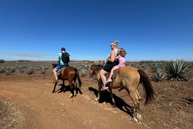 Jungle and Beach Horseback ride Tour in Pacific Coast - From Mazatlan hotels to Mr. Lionso Ranch