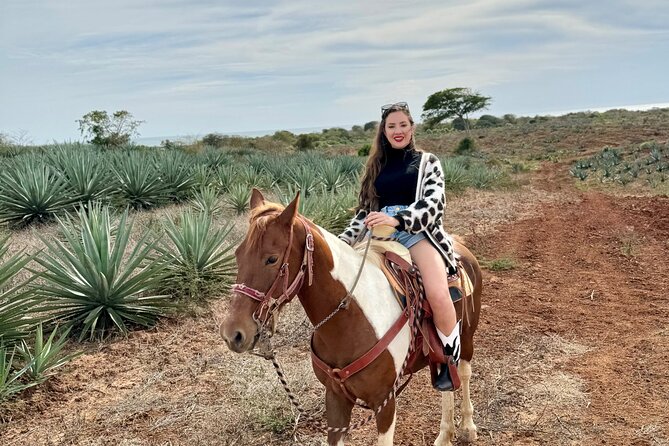 Jungle and Beach Horseback ride Tour in Pacific Coast - Beach, agave, and jungle in one hour