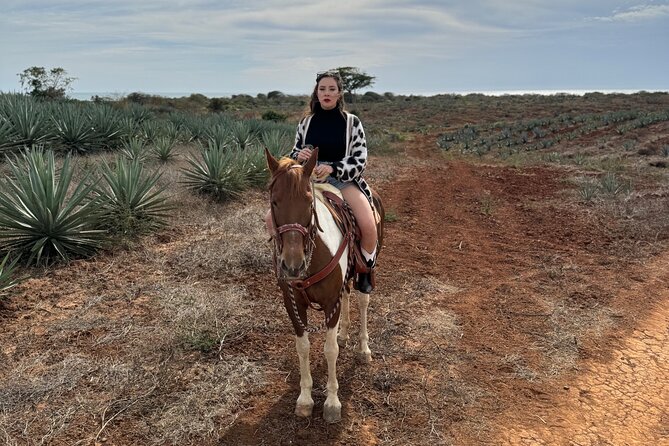 Jungle and Beach Horseback ride Tour in Pacific Coast - Is $90 a fair price?