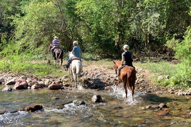 Jungle HorseBack Adventure to Las Palmas Waterfall All Included - The Sierra Madre lookout over Banderas Bay