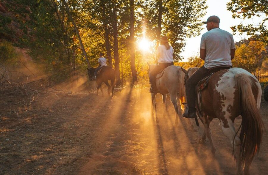 Kanab: Cave Lakes Canyon Horseback Riding Experience - Key points to know before you saddle up