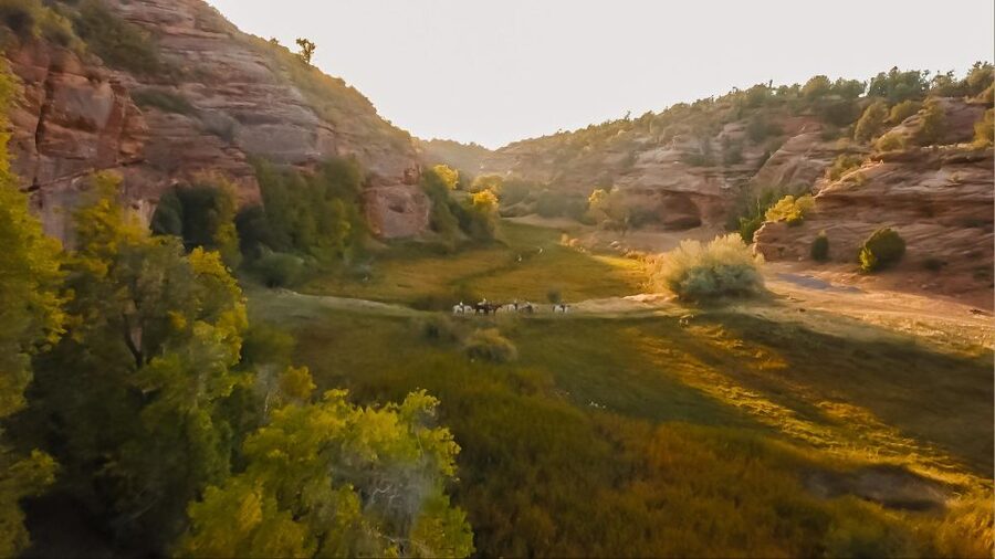 Kanab: Cave Lakes Canyon Horseback Riding Experience - The horses and the first few minutes