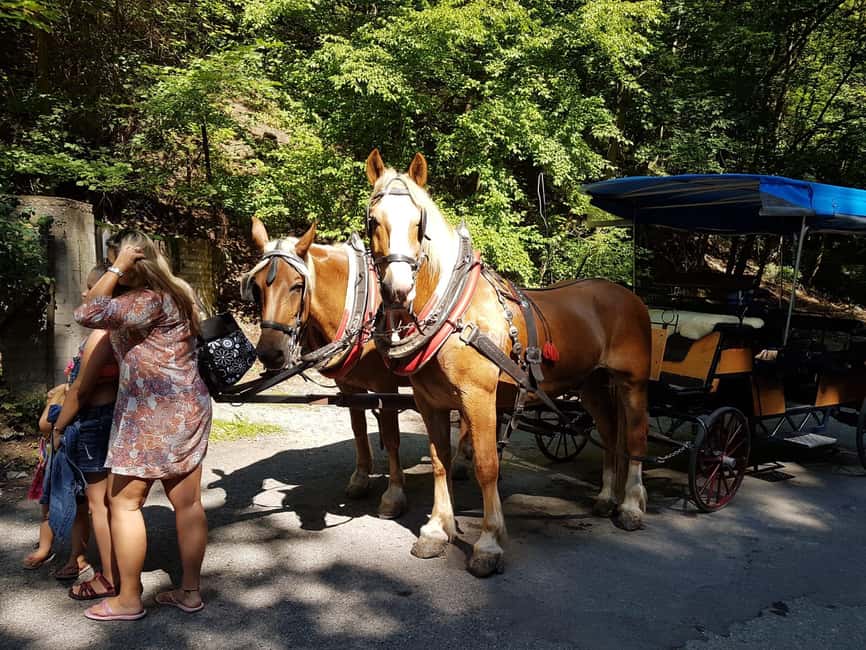 Karlštejn castle by horse carriage - Timing, comfort, and practical planning