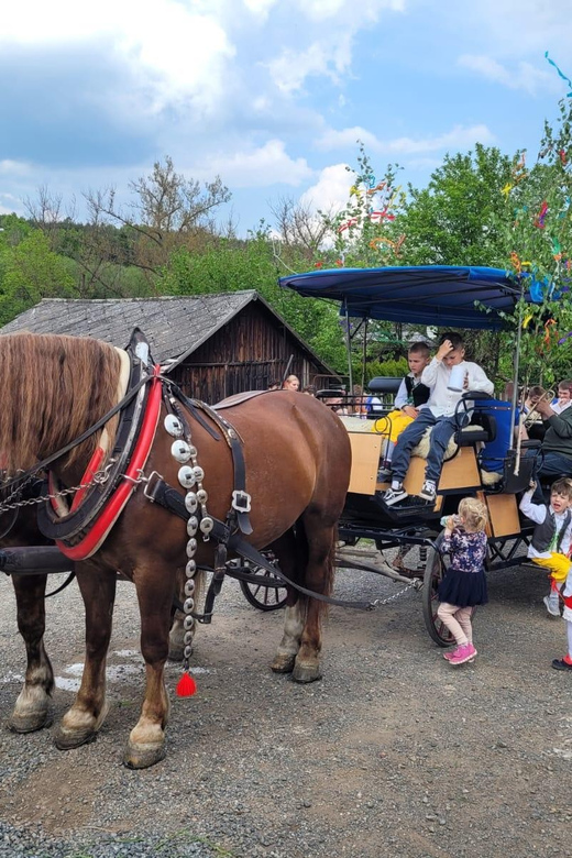 Karlštejn castle by horse carriage - Should you book Karlštejn by horse carriage?