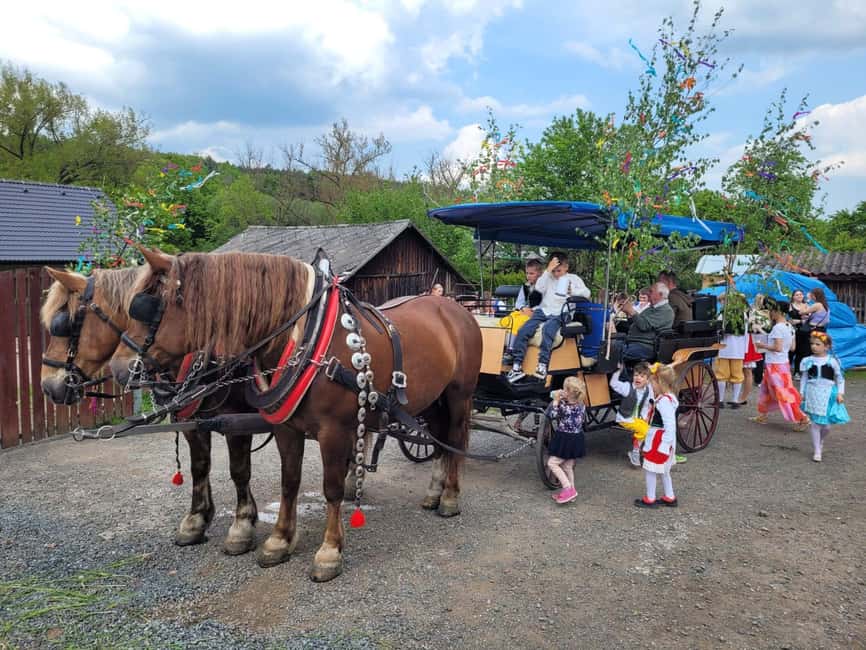 Karlštejn castle by horse carriage - The photo stop and why it matters