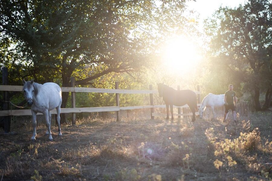 Kastraki: Meteora Sunset Horseback Riding - Key points to know before you book