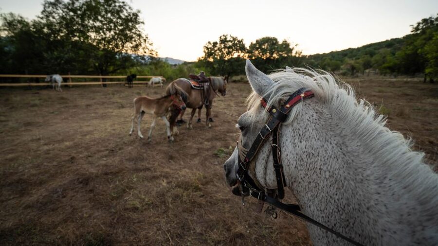 Kastraki: Meteora Sunset Horseback Riding - Why horseback riding changes your view of Meteora