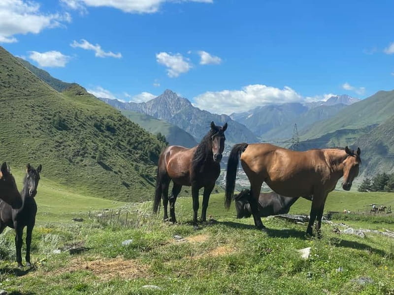 Kazbegi:Sunset Horse Riding Tour from Rooms Hotel Kazbegi - Key points at a glance