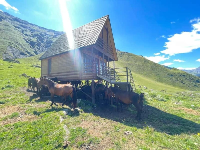 Kazbegi:Sunset Horse Riding Tour from Rooms Hotel Kazbegi - What the $39 price buys you