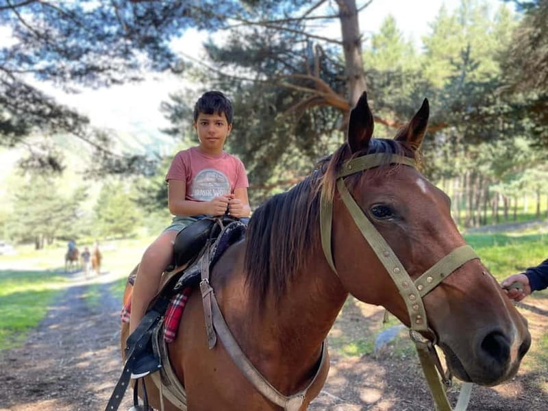 Kazbegi:Sunset Horse Riding Tour from Rooms Hotel Kazbegi - Practical tips before you book