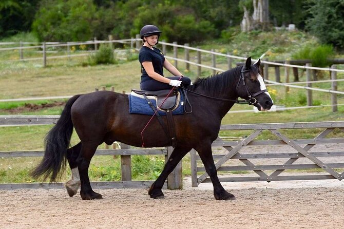 Kemer Horse Riding Experience with Transfer - Key points at a glance