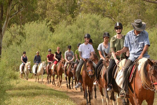 Kemer Horse Safari Experience With Free Hotel Transfer - The tone at the ranch