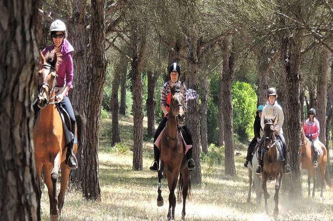 Kemer Horse Safari Experience With Free Hotel Transfer - Is the Kemer Horse Safari worth booking?