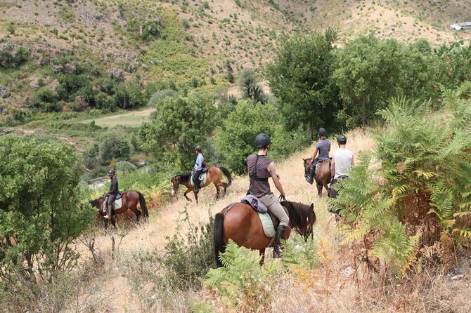 Kemer Horse Safari Experience With Free Hotel Transfer - Meeting the instructors and horses