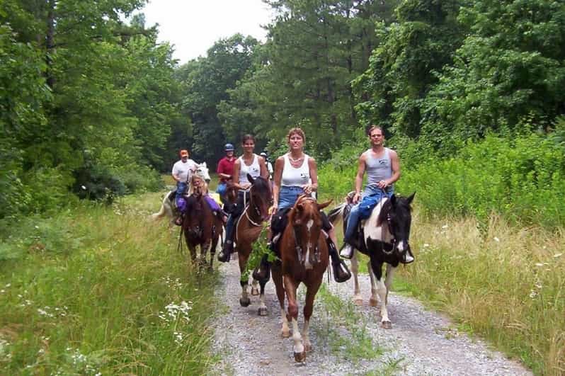 Kemer Horse Safari, pick up from Kiris, Beldibi, Goynuk - Pickup from Kiris, Beldibi, Goynuk, and Kemer hotels