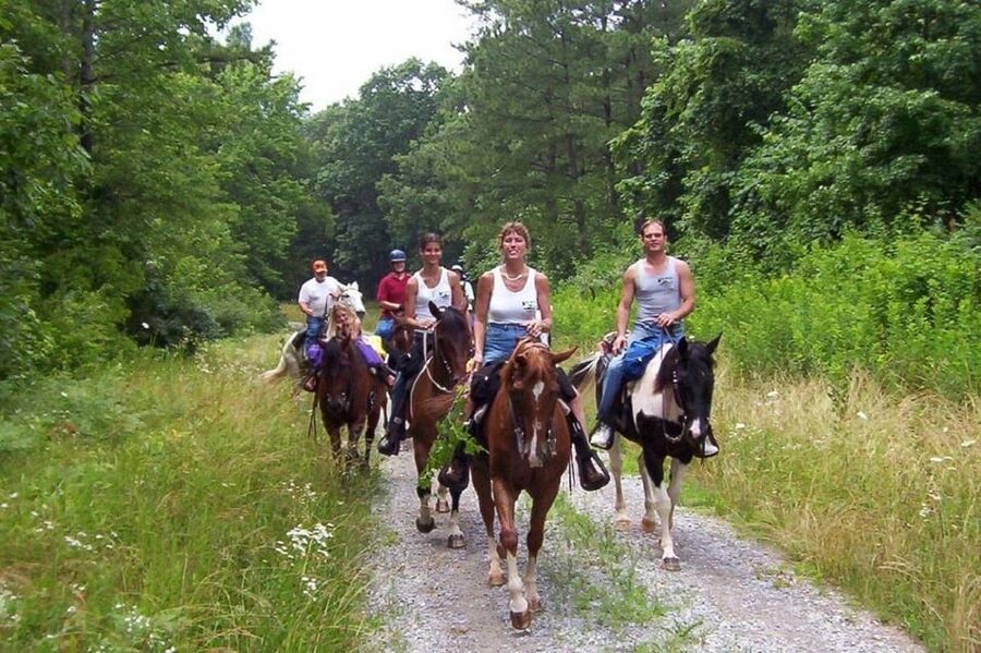 Kemer Horse Safari, pick up from Kiris, Beldibi, Goynuk - Languages, timing, and practical preparation