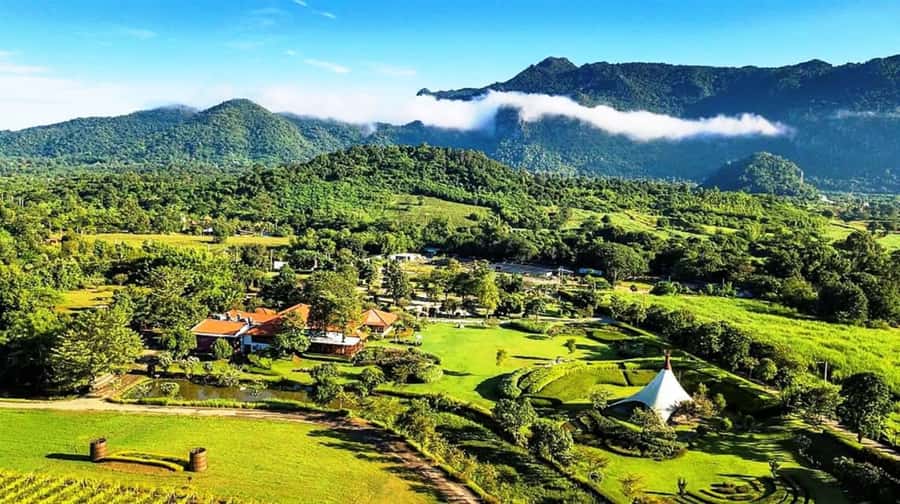 Khao Yai Vineyard Tasting Tour & Horse Farm Visit - Key points to know before booking