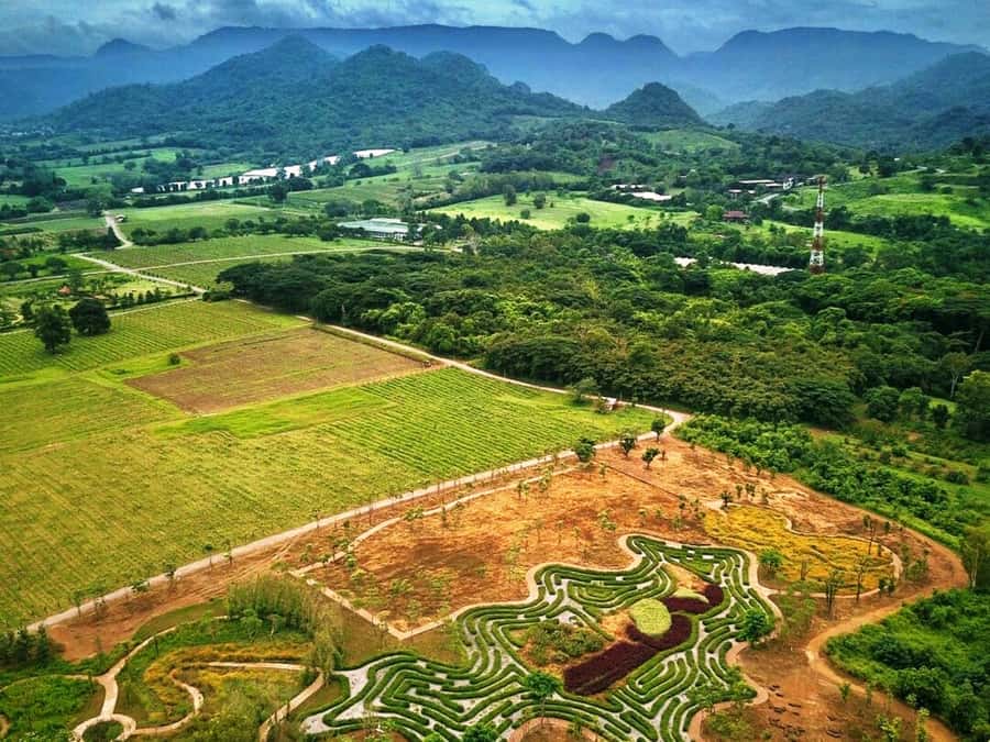 Khao Yai Vineyard Tasting Tour & Horse Farm Visit - Tasting Thai wine, with one detail to confirm