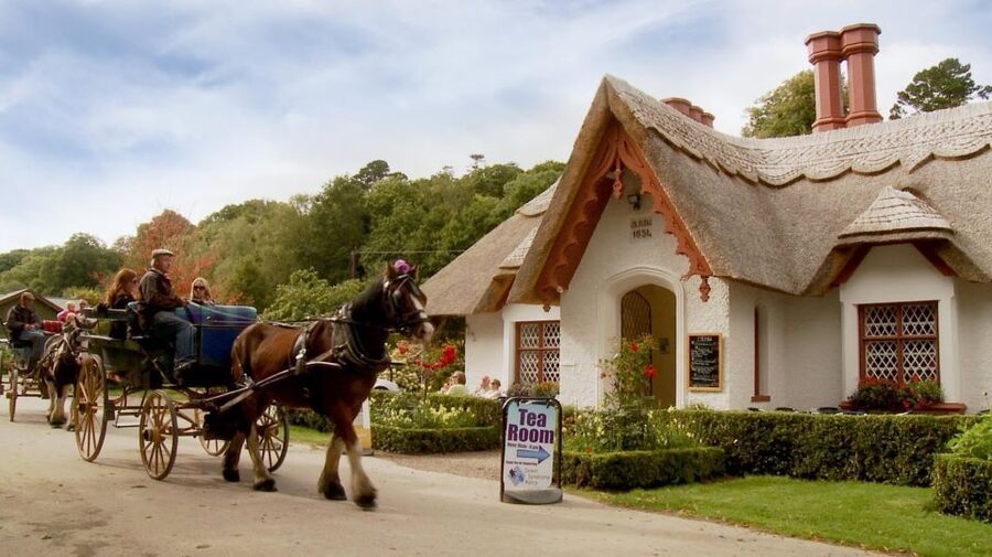 Killarney: 1-Hour Jaunting Car Horse and Carriage Tour - A traditional ride through Killarney