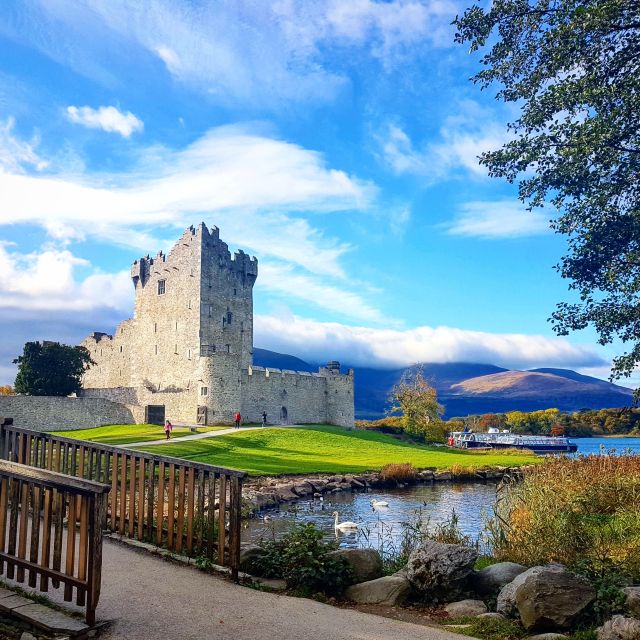 Killarney: 1-Hour Jaunting Car Horse and Carriage Tour - What the Jarvey adds