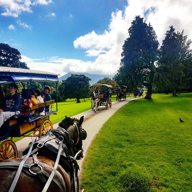 Killarney: 1-Hour Jaunting Car Horse and Carriage Tour - Comfort, weather, and access