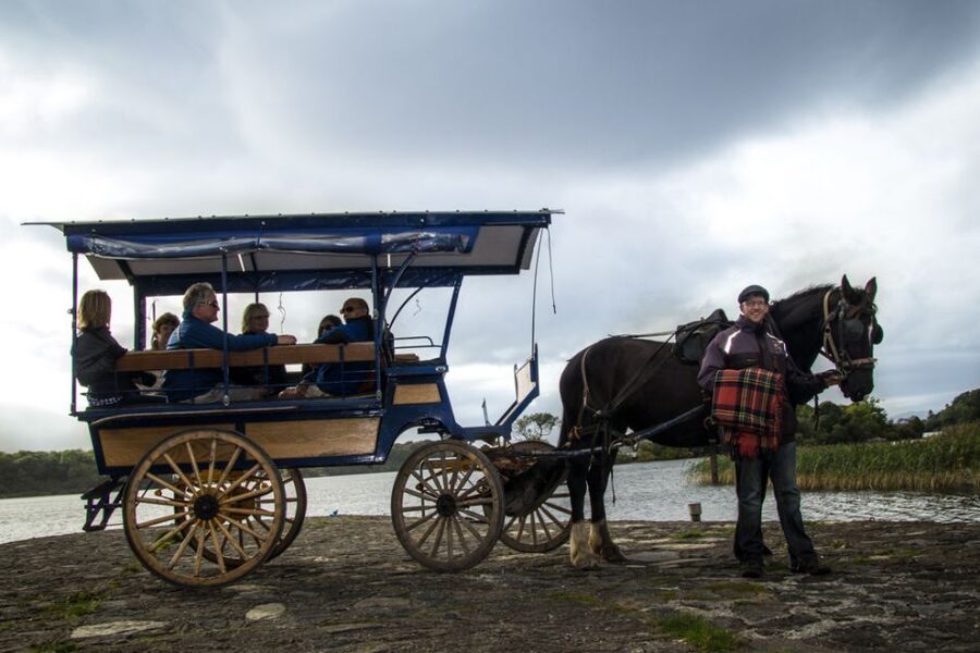 Killarney: 1-Hour Jaunting Car Horse and Carriage Tour - The first views from town