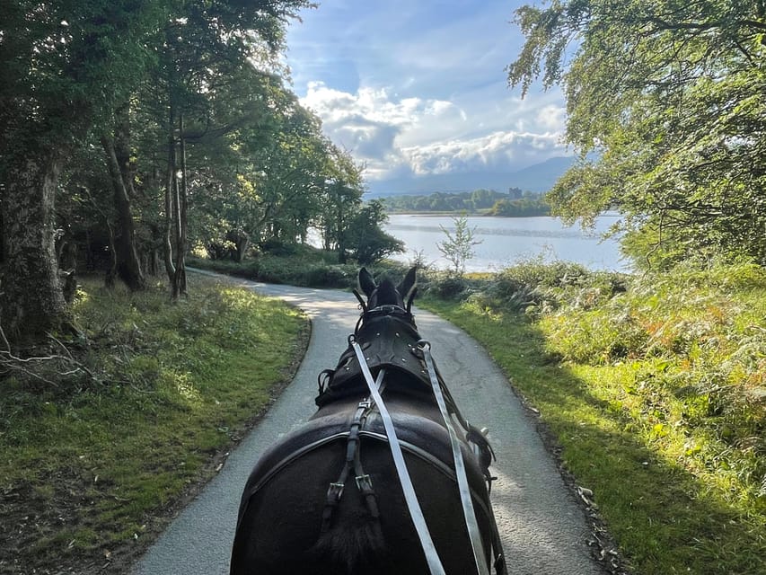 Killarney Carriage Tours National Park and Lakes - Key points to know before you book
