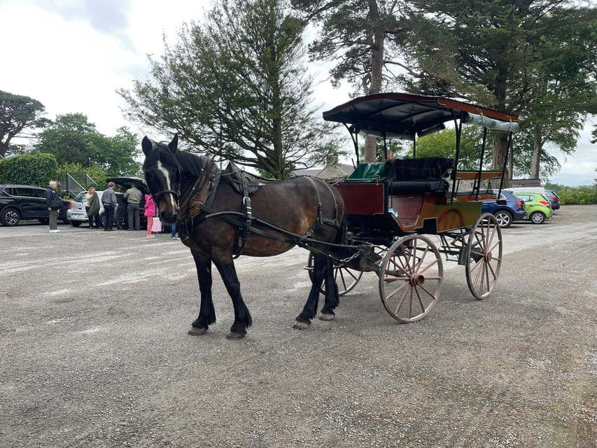 Killarney Carriage Tours National Park and Lakes - A gentle introduction to Killarney National Park