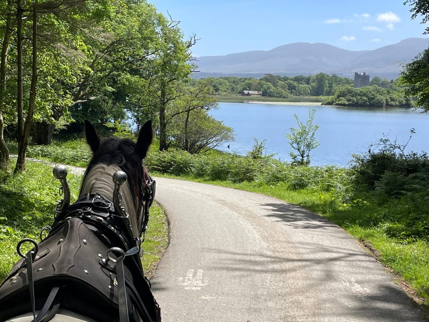 Killarney Carriage Tours National Park and Lakes - Following the Lakes of Killarney